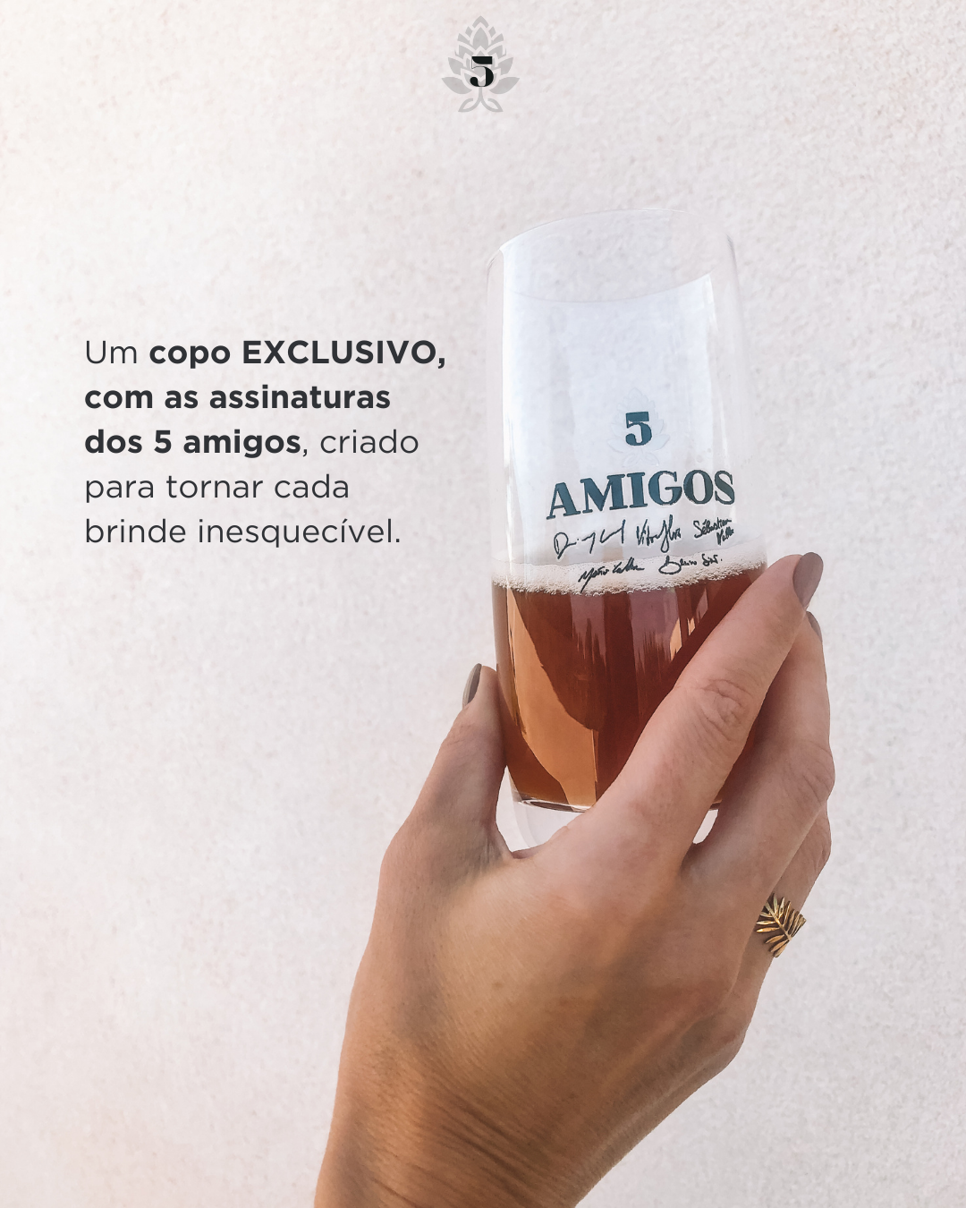 5amigos