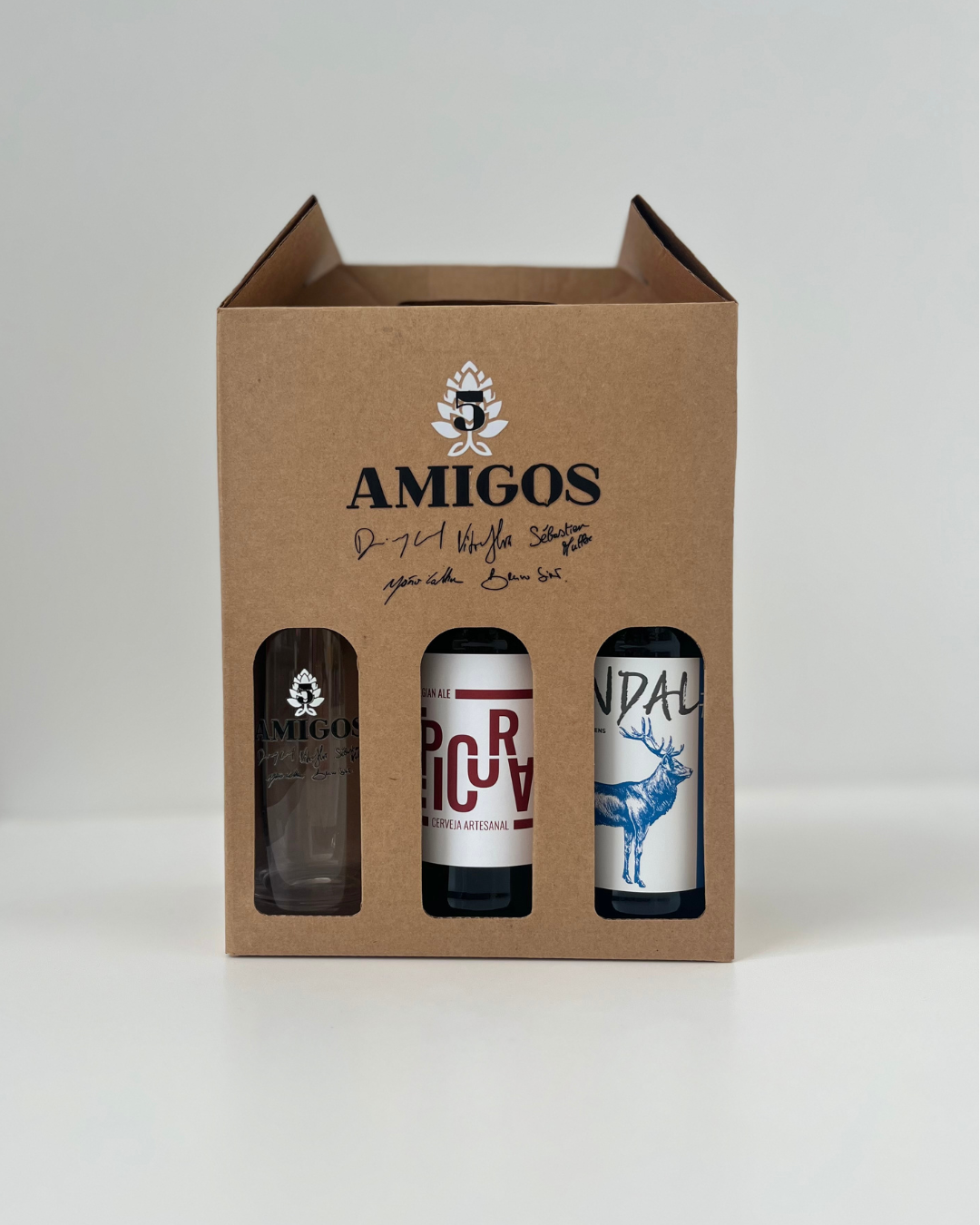 5amigos